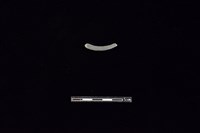 陶環藏品圖，第2張